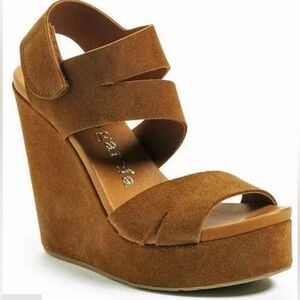 Pedro Garcia Tesla platform wedge